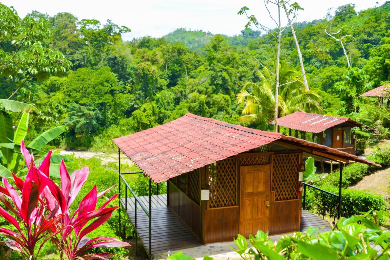 Pacuare River Lodge Bajo Tigre Exterior foto