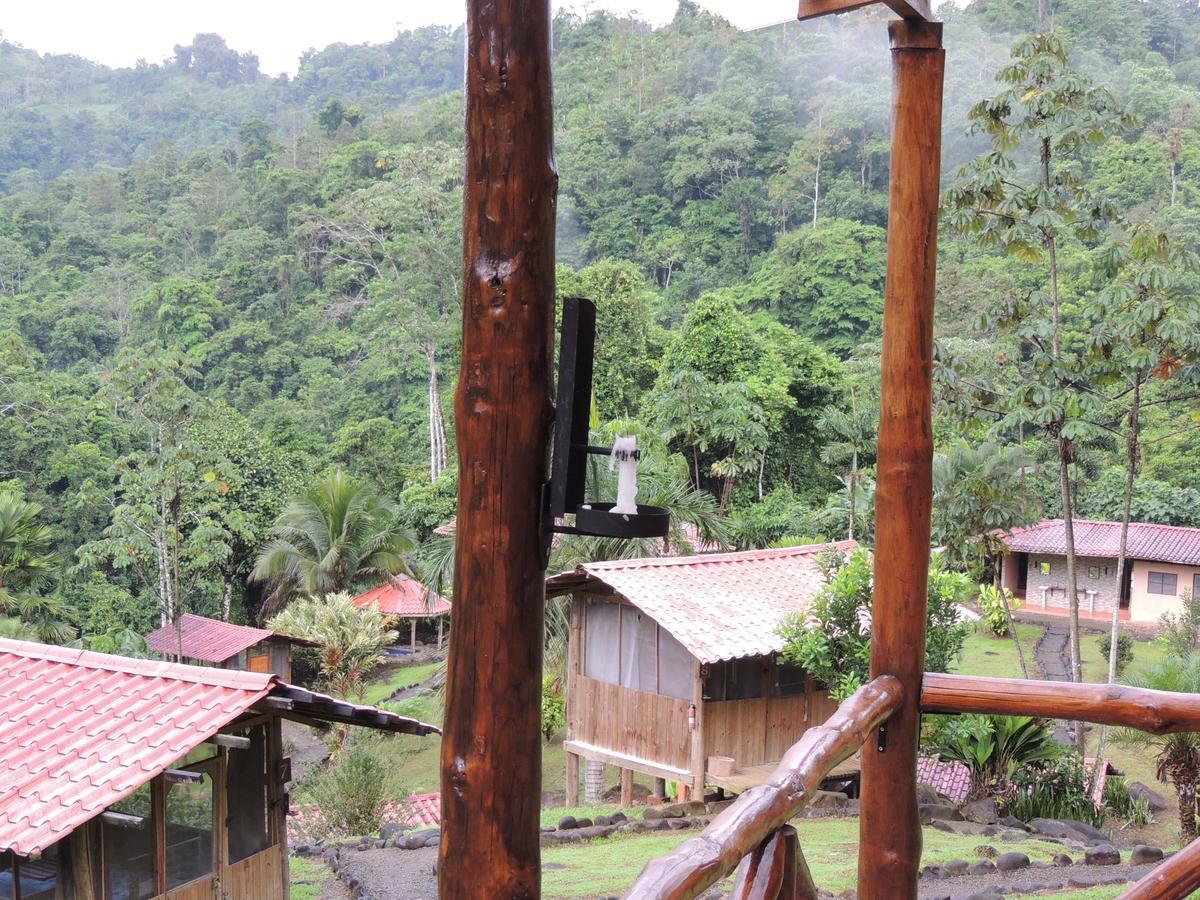 Pacuare River Lodge Bajo Tigre Exterior foto