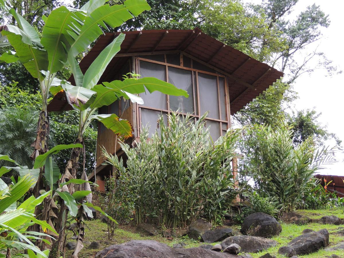 Pacuare River Lodge Bajo Tigre Exterior foto
